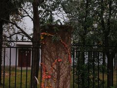 -太麻里文创咖啡馆(创意设计中心店)