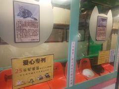-猫咪博物馆(顶澳仔猫街店)