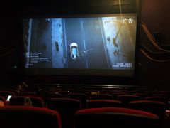 -武汉华夏国际影城(鲁广店)