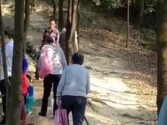 楼梯-火炉山森林公园