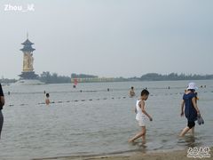 -溱湖国家湿地公园