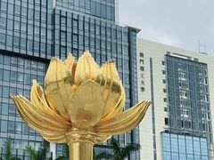 -金莲花广场