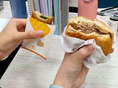 -麦当劳(花园北路店)