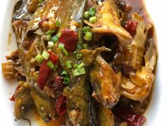 黄骨鱼-旅宁大酒店