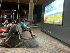 -上海浦东国际机场-T2航站楼
