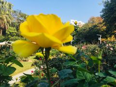 -人民公园(罗湖区)