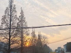 -HONGA HONGA雄家(曹路店)