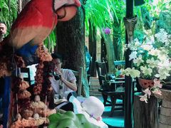 -自然餐厅(Phuket)