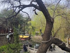 -环城公园