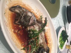 佳丽海鲜大酒楼(蔡塘店)-佳丽海鲜大酒楼·宴会厅(蔡塘店)