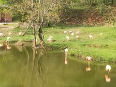 -合肥野生动物园