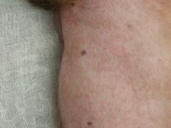 -康乐宝动物医院