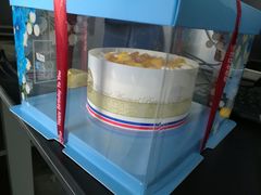-维尔纳斯·生日蛋糕·动物奶油冰淇淋蛋糕(六里桥店)