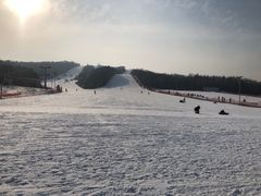 -东北亚滑雪场
