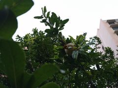 -花迹(富春江东街店)