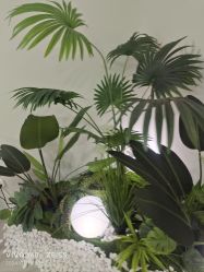 -HEYAN荷妍专业脱毛连锁机构