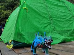 -牛背梁国家森林公园