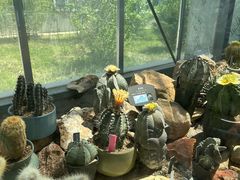 -国家植物园南园