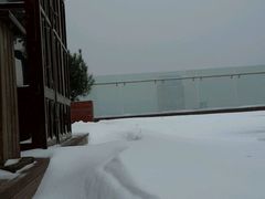 -梧桐餐厅(泉城路店)