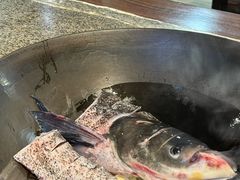 -好灶头妈妈菜·千岛湖土菜地标美食