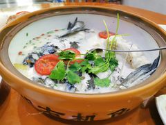 -全乐鱼馆·淳牌有机鱼直营店