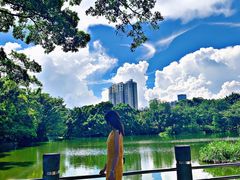 -人民公园(罗湖区)