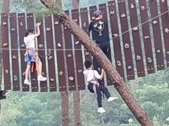 -九龙江国家森林公园