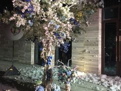 -上海崇明金茂凯悦酒店