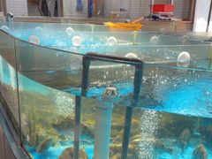 -耕渔小院·湖南鱼鲜(望城店)