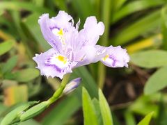 -浙江西子宾馆·牡丹厅