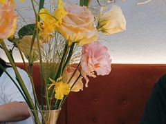 -Tomacado花厨(One ITC店)