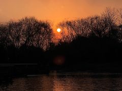 -西溪国家湿地公园