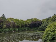-长广溪湿地公园