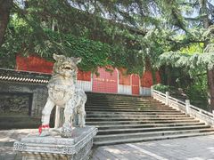 -姜子牙钓鱼台风景区