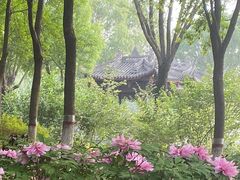 -石家庄市植物园