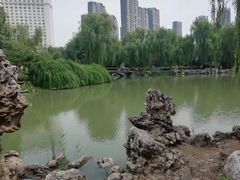 -西苑公园