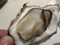 -火焰枪蛋·烧烤(奉天街店)