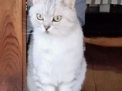 -不舍昼夜咖啡馆