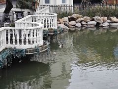 -J Create城市露营咖啡·简餐·宠物(上海动物园店)