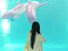 -蓬莱欧乐堡海洋极地世界