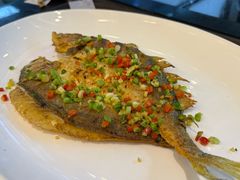 -飞尝蚝·顺德菜·鱼生(顺德总店)
