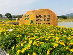 -光明小镇欢乐田园