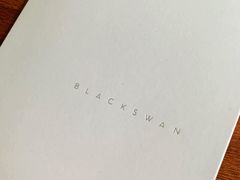 -BLACKSWAN黑天鹅(环球店)