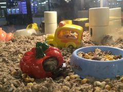 -宠物世家(仲盛世界商城店)