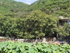-荷塘味道(水长城店)
