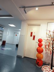 -温州伯思立医院