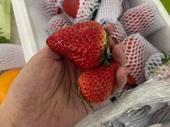 -哈尔信阳光农园超市(沈阳三台子万象汇店)
