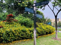 校园一角的路标-东华大学(松江校区)