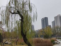 -渭滨公园