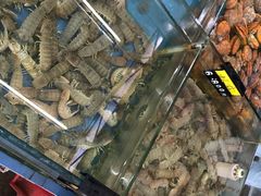 -明记海鲜大排档(巽寮湾店)